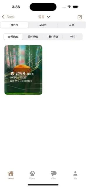 강아지·고양이·그 외 탭과 소형견·중형견·대형견·아기 필터 아래 돌봄 게시글 카드가 보이는 목록
