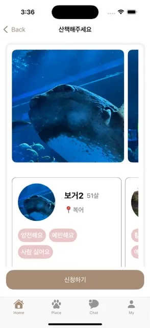 산책해주세요 게시글 상세에 반려동물 사진과 프로필, 성격 태그, 신청하기 버튼이 있는 화면